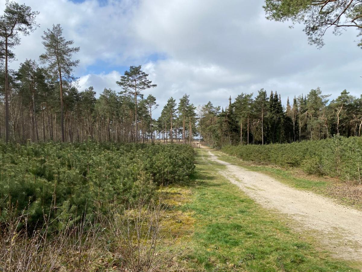 Chalet Dennenvelt Villa Doornspijk Dış mekan fotoğraf