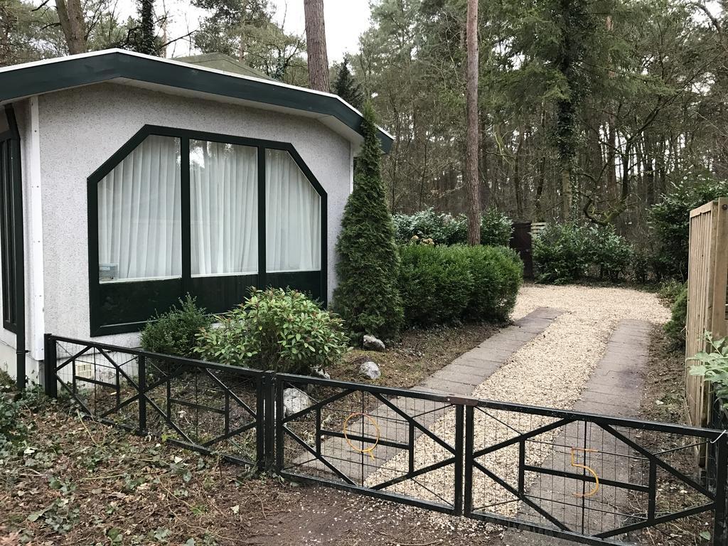 Chalet Dennenvelt Villa Doornspijk Dış mekan fotoğraf